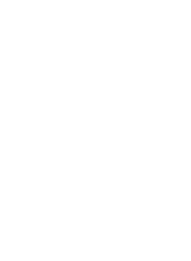 smartlane